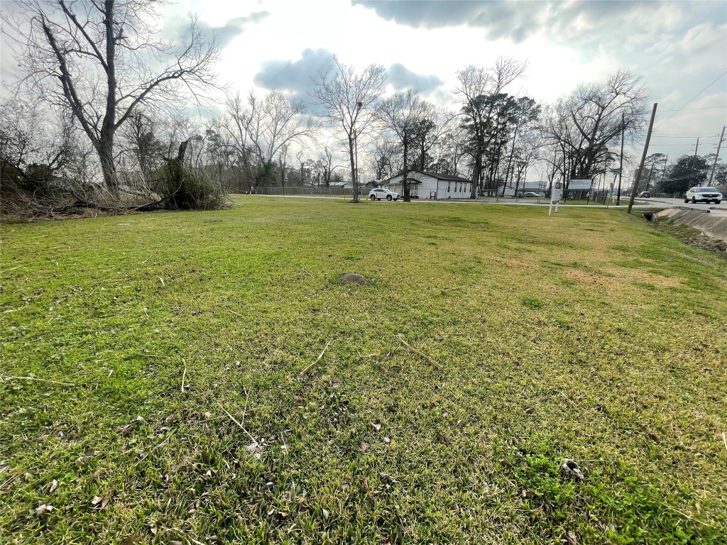 0 Fm-1960 Road West Houston, TX 77090 - Photo 6 of 8 a view of a field with trees in the background