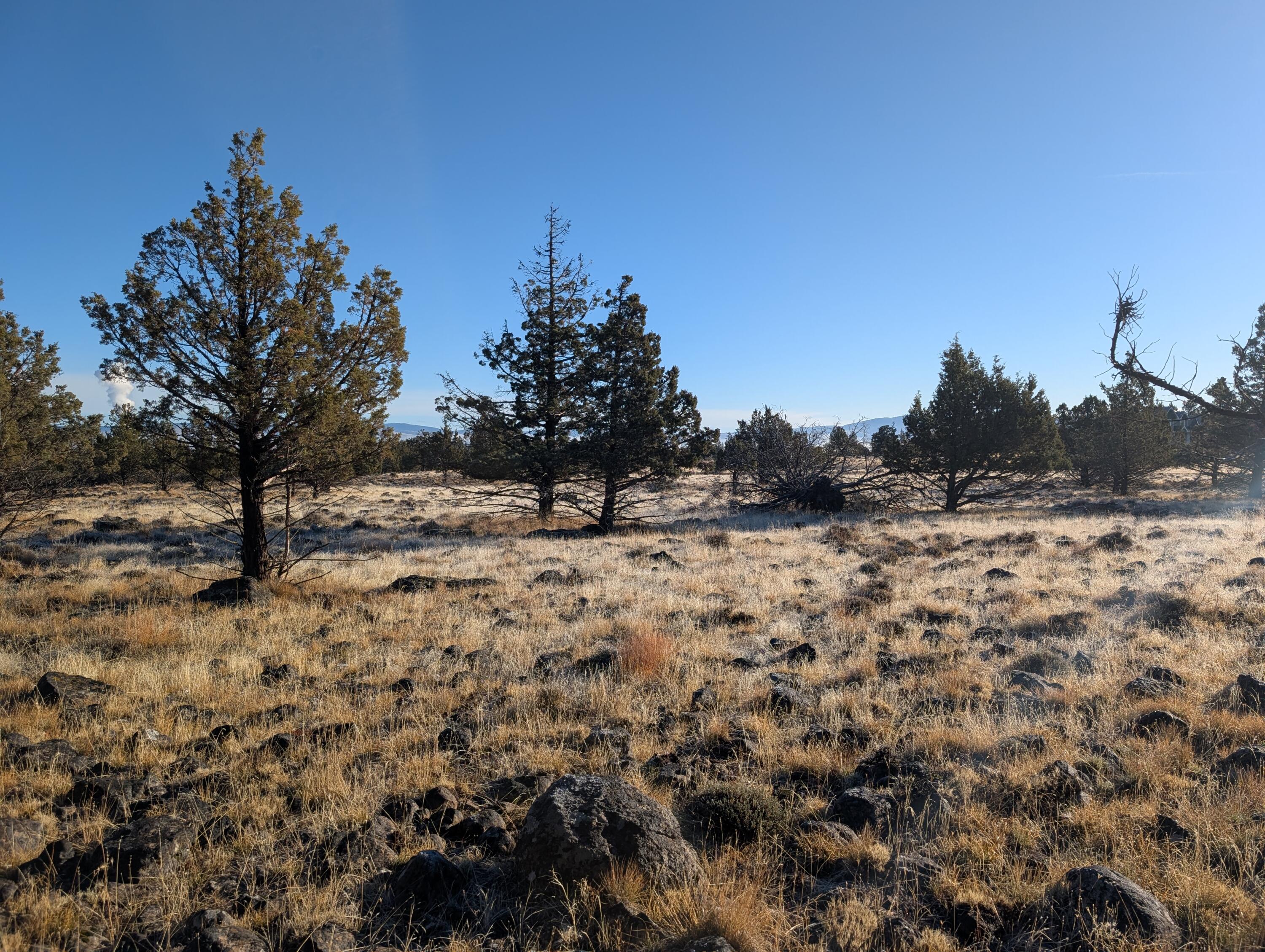 Cedar Trail Klamath Falls, OR 97603 - Photo 5 of 24 PXL_20251027_161718366.MP