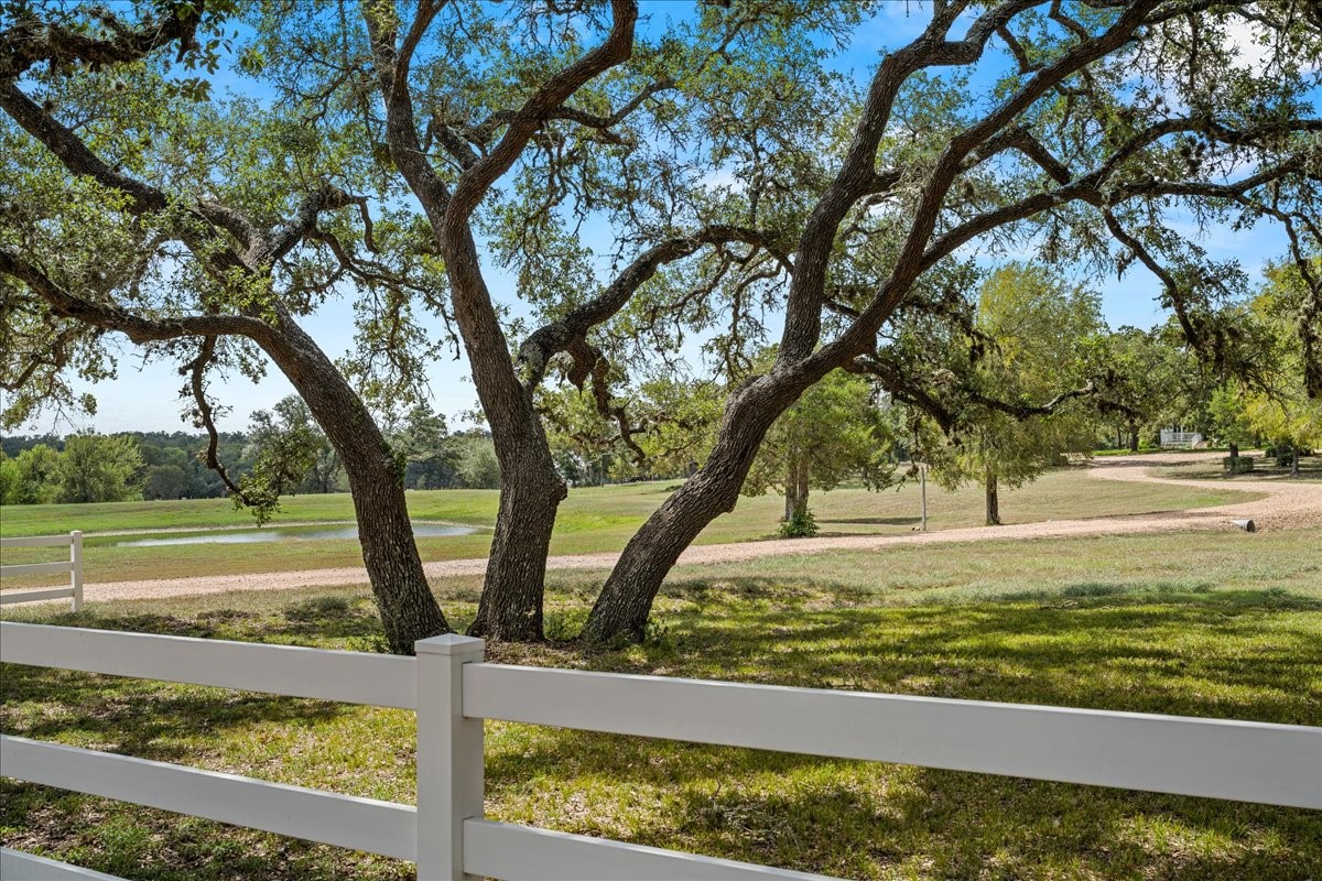 3600 Noak Road Round Top, TX 78954 - Photo 2 of 42 Gallery Image 2
