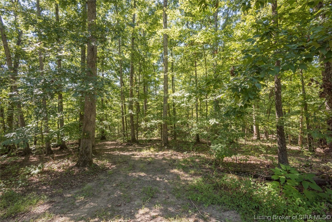 6521 Zollman Road Otisco, IN 47163 - Photo 78 of 90 Gallery Image 78