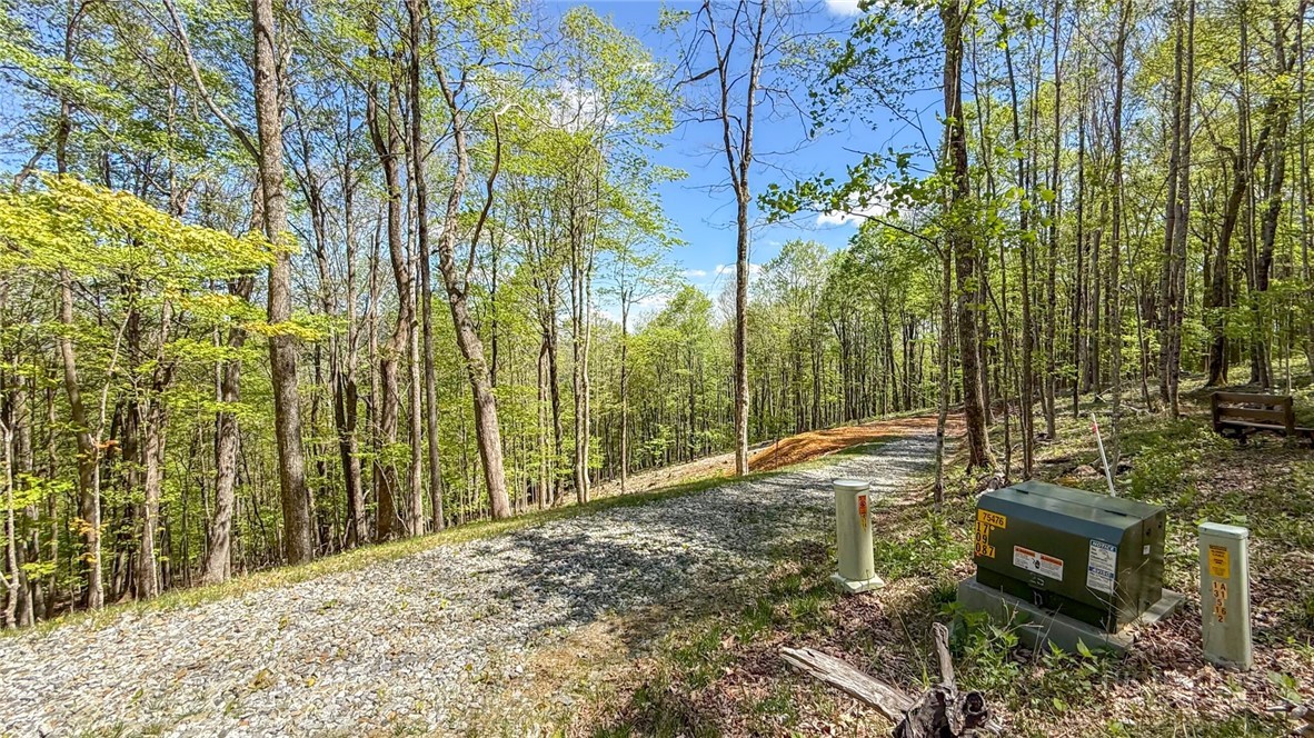 Maple Leaf Road West Jefferson, NC 28694 - Photo 1 of 10 a view of a backyard