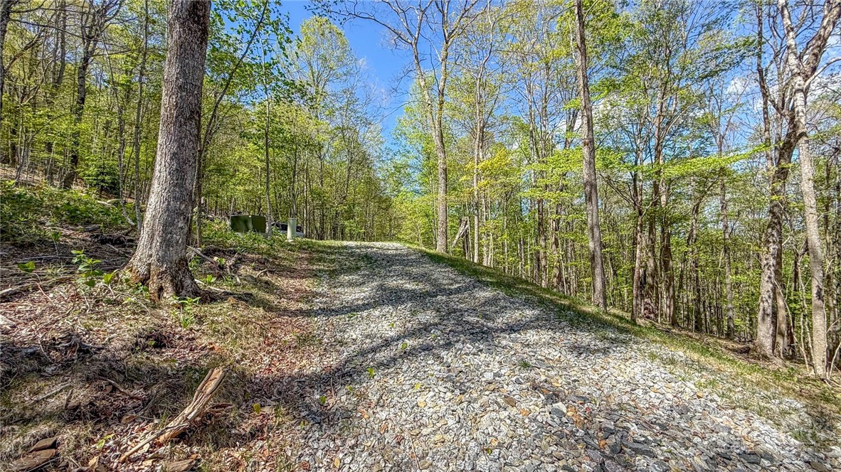 Maple Leaf Road West Jefferson, NC 28694 - Photo 5 of 10 a view of outdoor space and trees