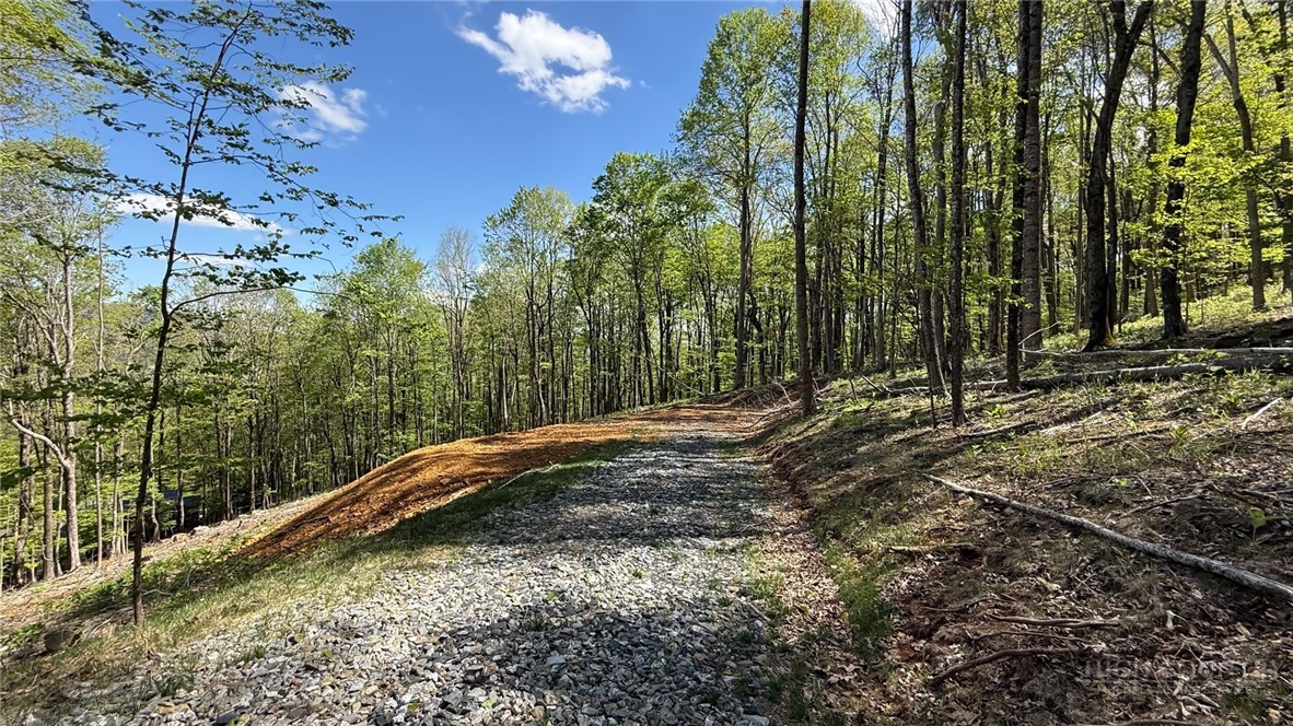 Maple Leaf Road West Jefferson, NC 28694 - Photo 6 of 10 a view of a forest with a tree