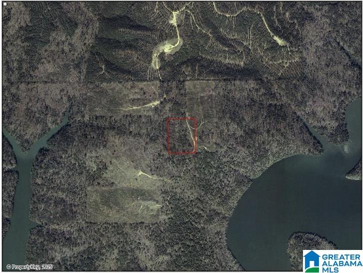 7 Mile Road Springville, AL 35146 - Photo 1 of 1