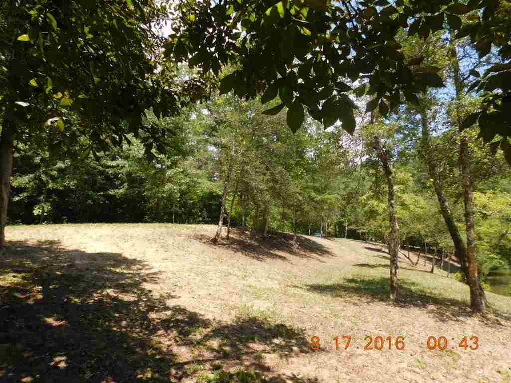 0 Crowe Mountain Road, Unit LITTLE RIVER Walhalla, SC 29691 - Photo 8 of 22 Gallery Image 8