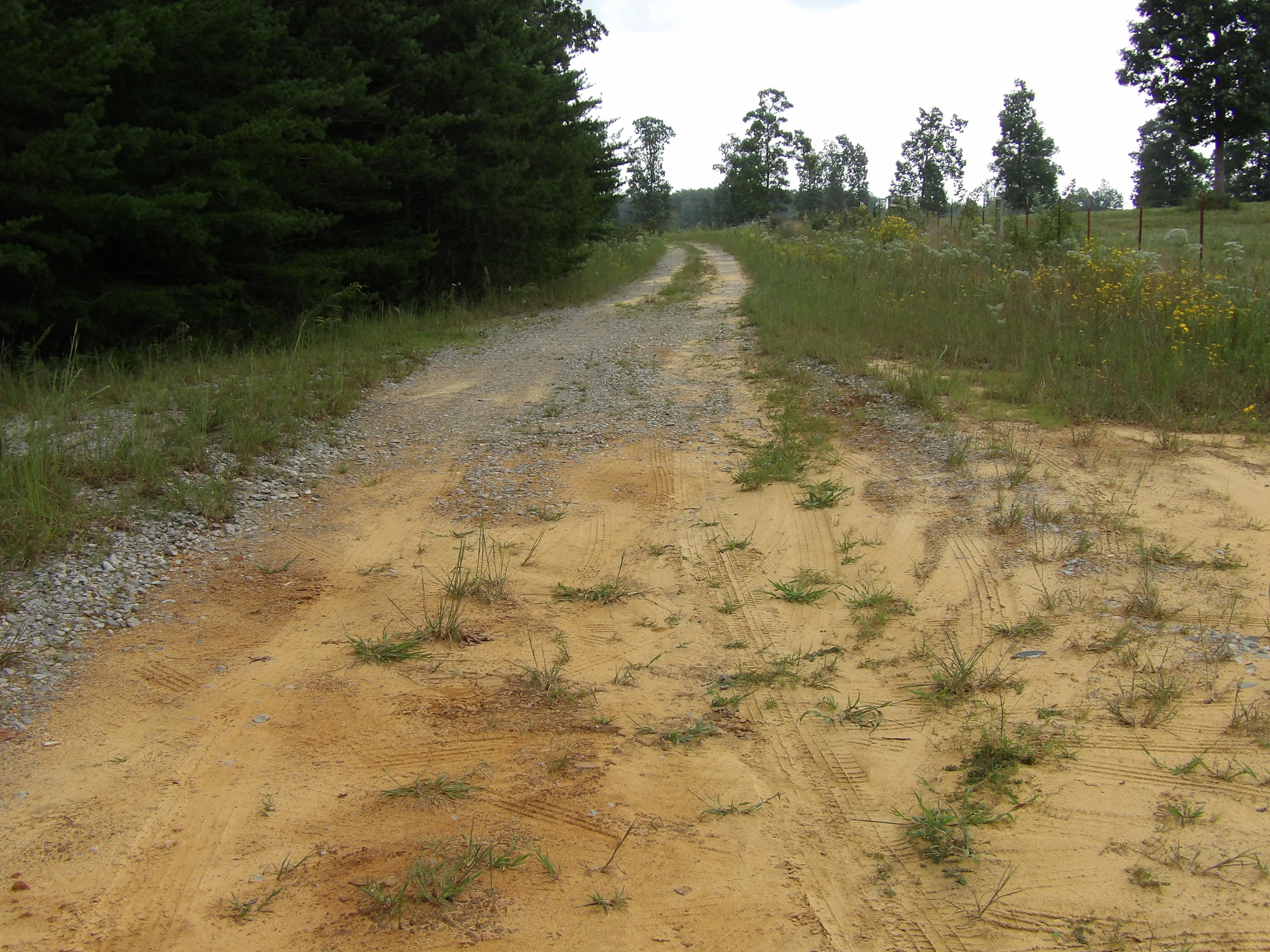 0 Flatbush Road, Unit B37 Spencer, TN 38585 - Photo 13 of 20 100_1381