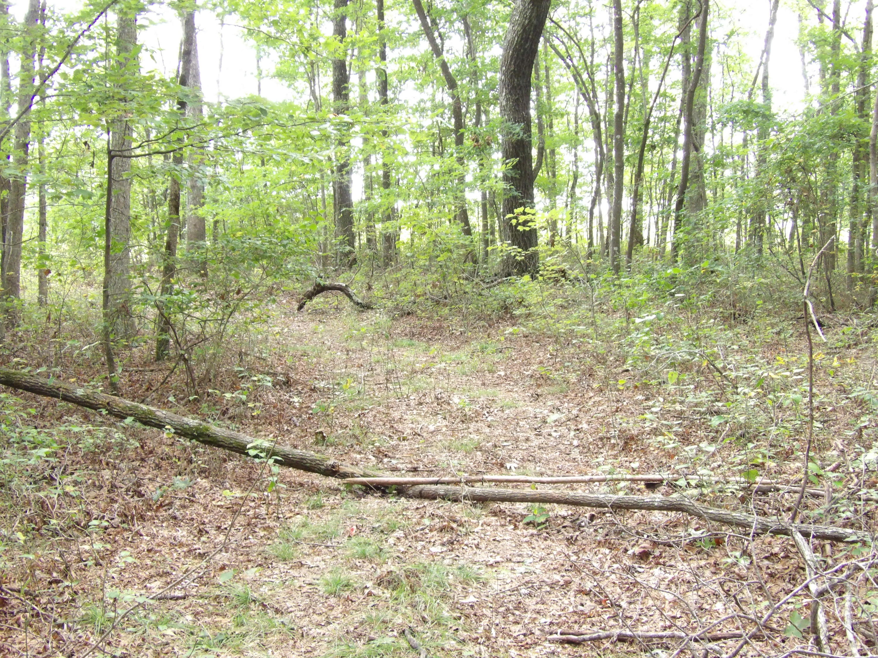 0 Flatbush Road, Unit B37 Spencer, TN 38585 - Photo 14 of 20 100_1393