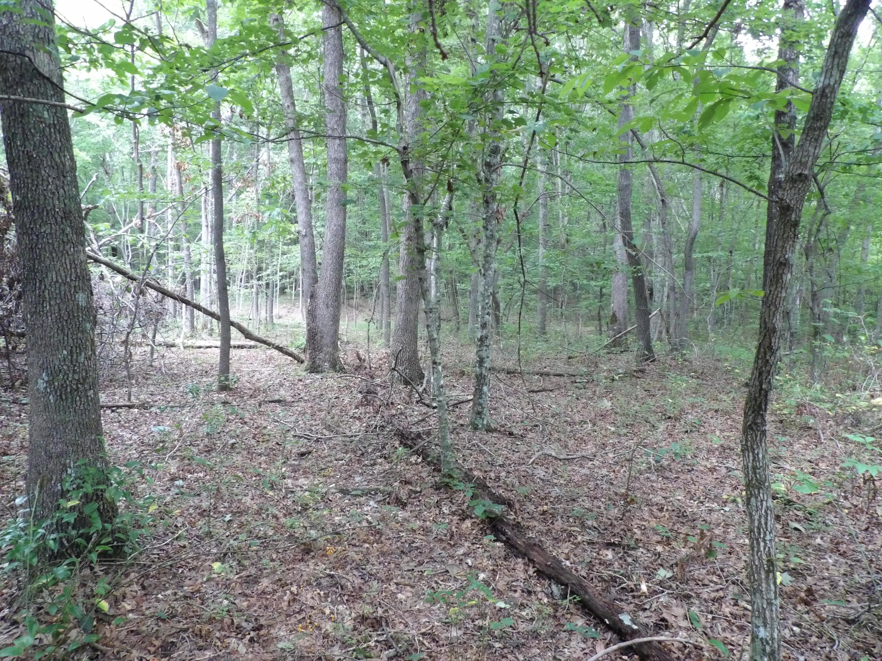 0 Flatbush Road, Unit B37 Spencer, TN 38585 - Photo 20 of 20 100_1400
