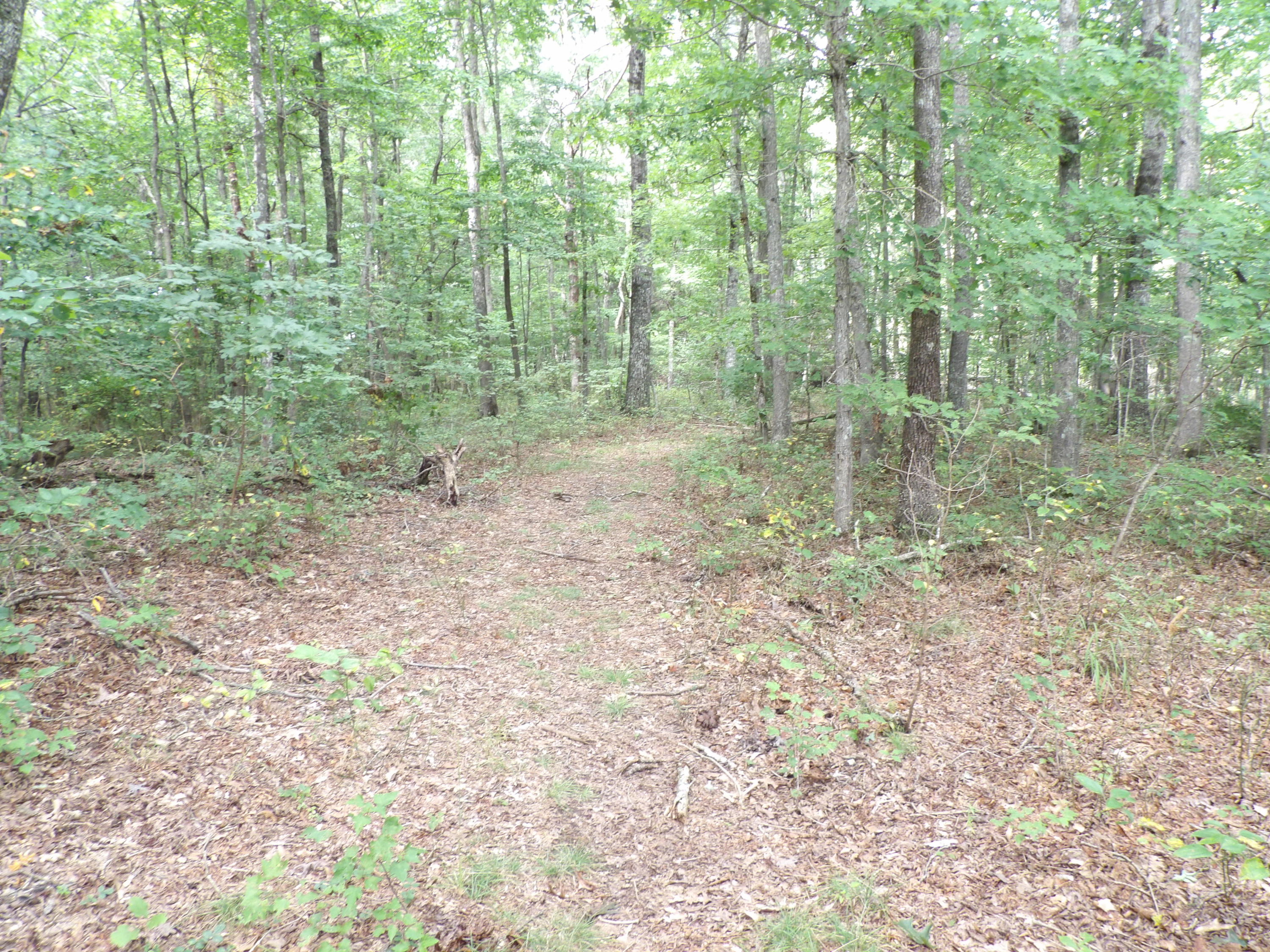 0 Flatbush Road, Unit B37 Spencer, TN 38585 - Photo 10 of 20 100_1390