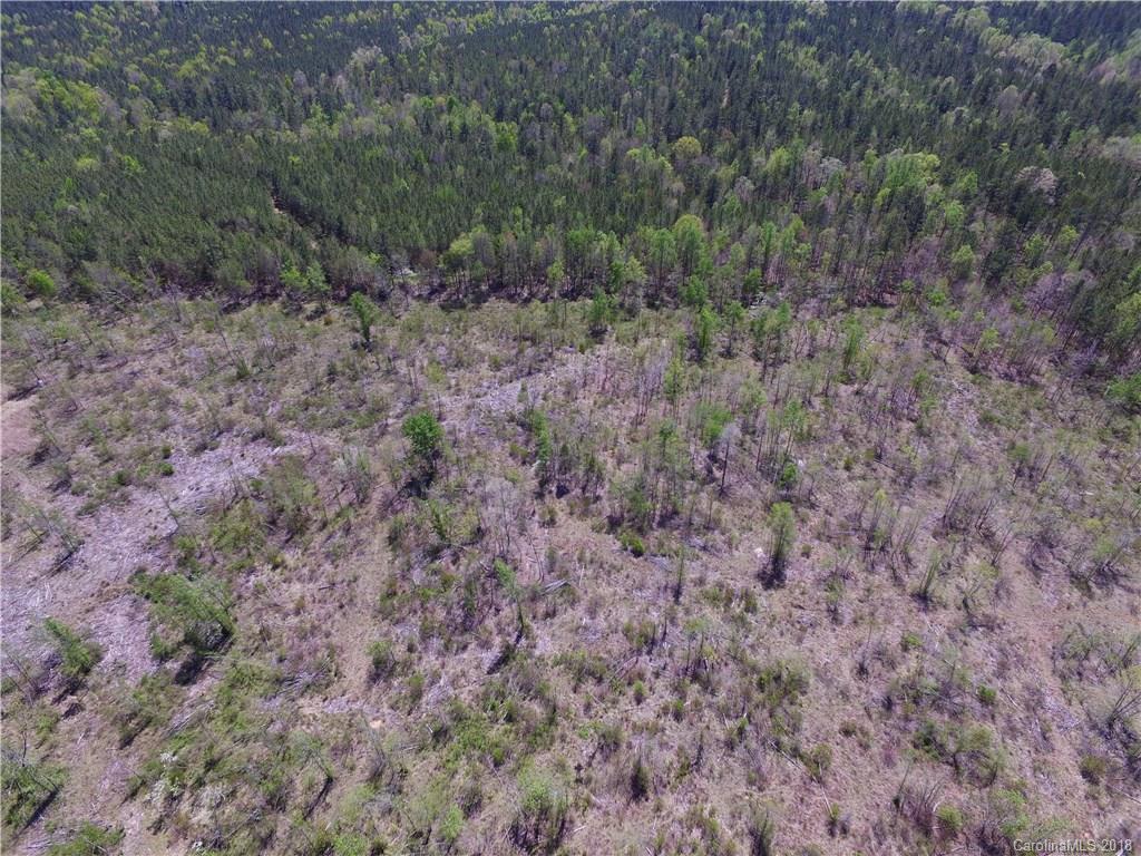 1 White Store Road Wadesboro, NC 28170 - Photo 8 of 9