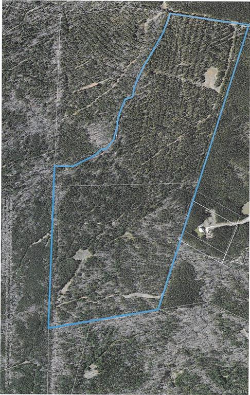 1 White Store Road Wadesboro, NC 28170 - Photo 9 of 9