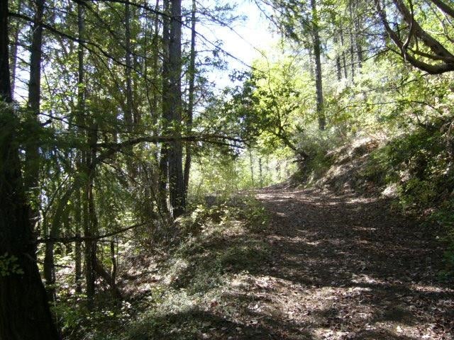 122 Acres Off Usfs Road Happy Camp, CA 96039 - Photo 5 of 25 Gallery Image 5