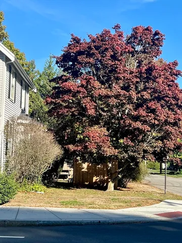 $939,000 | 556 Webster Street, Needham, MA 02494