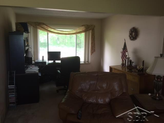 11114 Lange Road Birch Run, MI 48415 - Photo 7 of 21