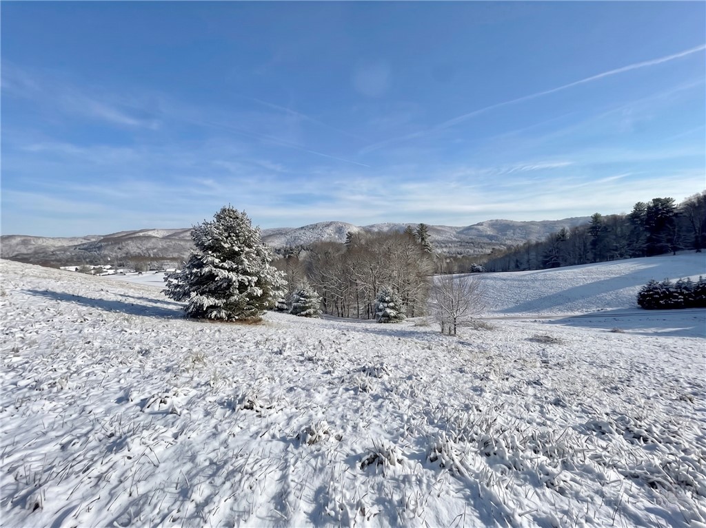Lot 27 Hartley Knob Road Boone, NC 28607 - Photo 12 of 15