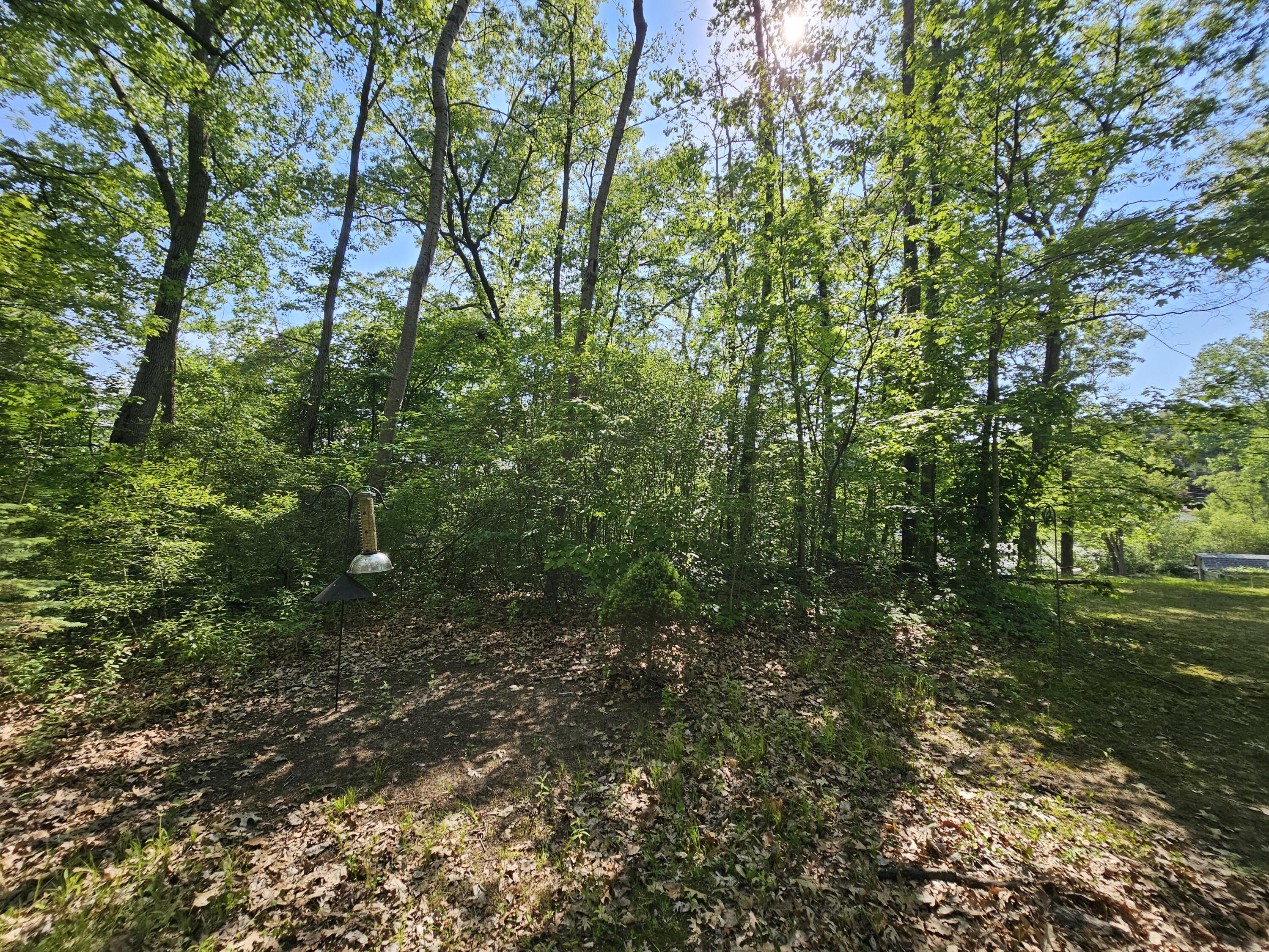 5350 Eze Street Reading, MI 49274 - Photo 22 of 36 1000039225