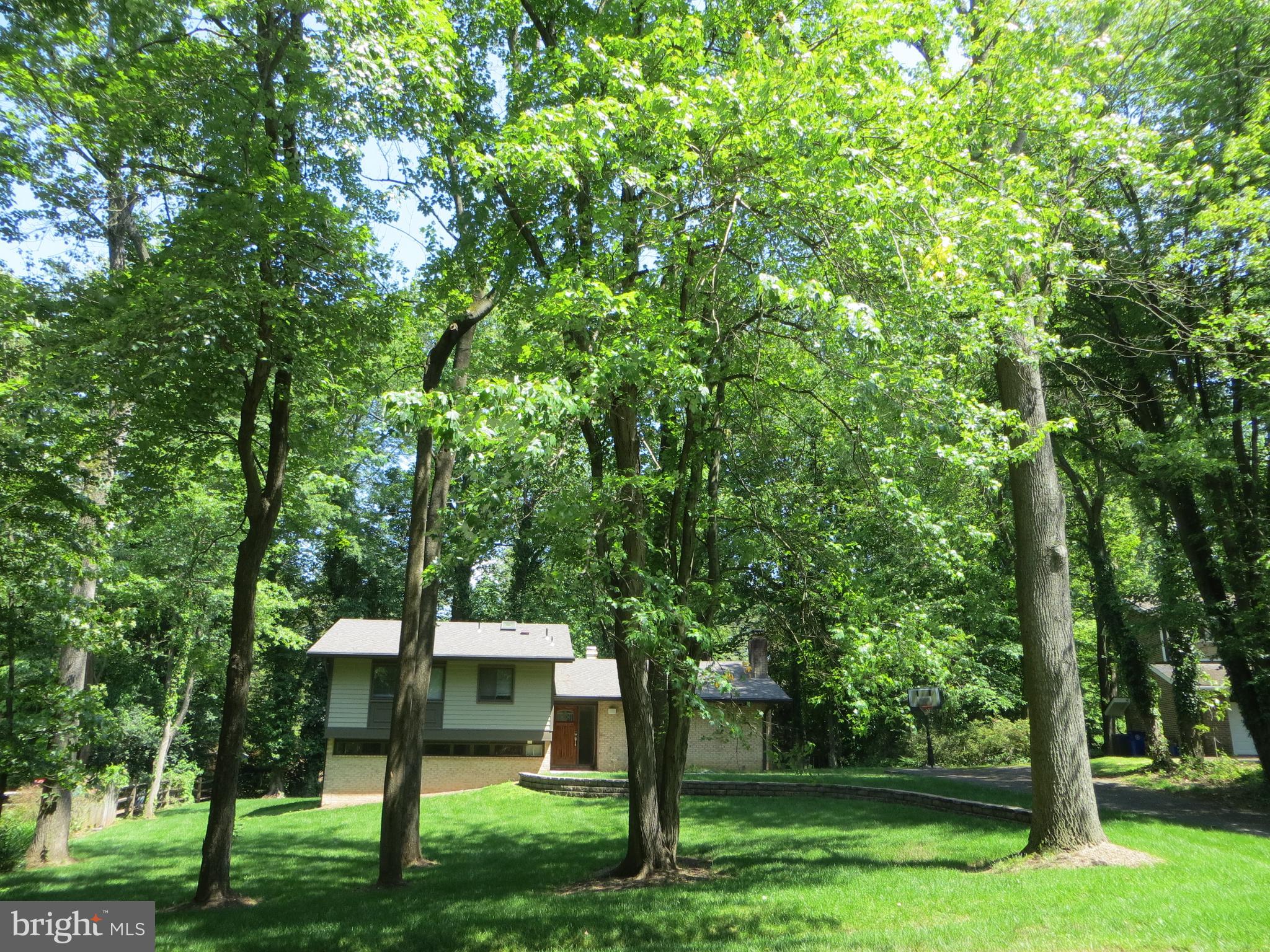 8105 Fenway Road Bethesda, MD 20817 - Photo 63 of 63