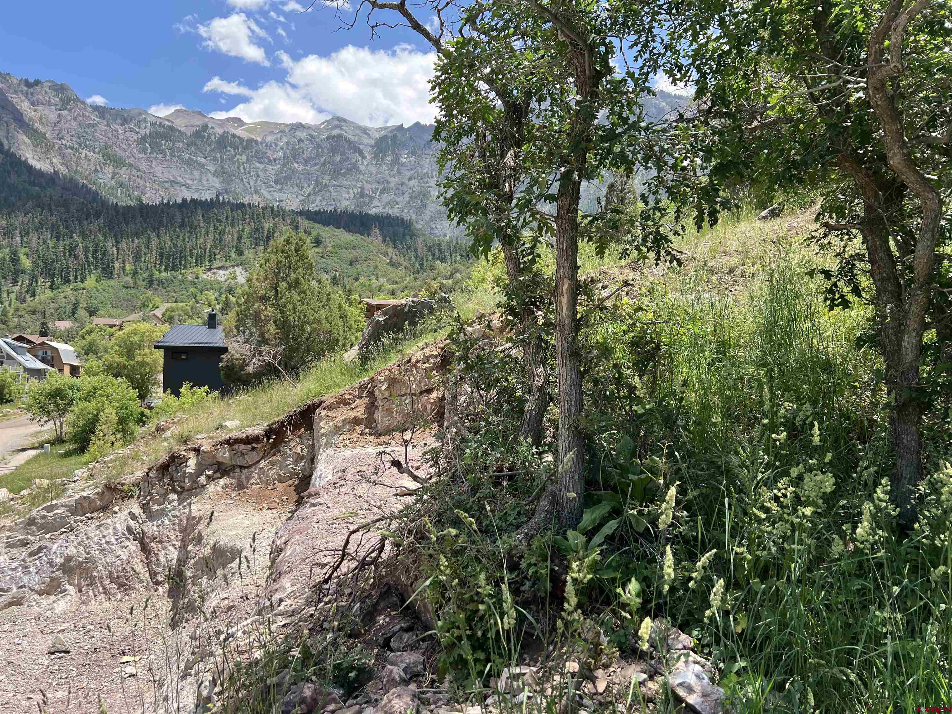 325 2nd Street Ouray, CO 81427 - Photo 15 of 23 a view of a garden with large trees