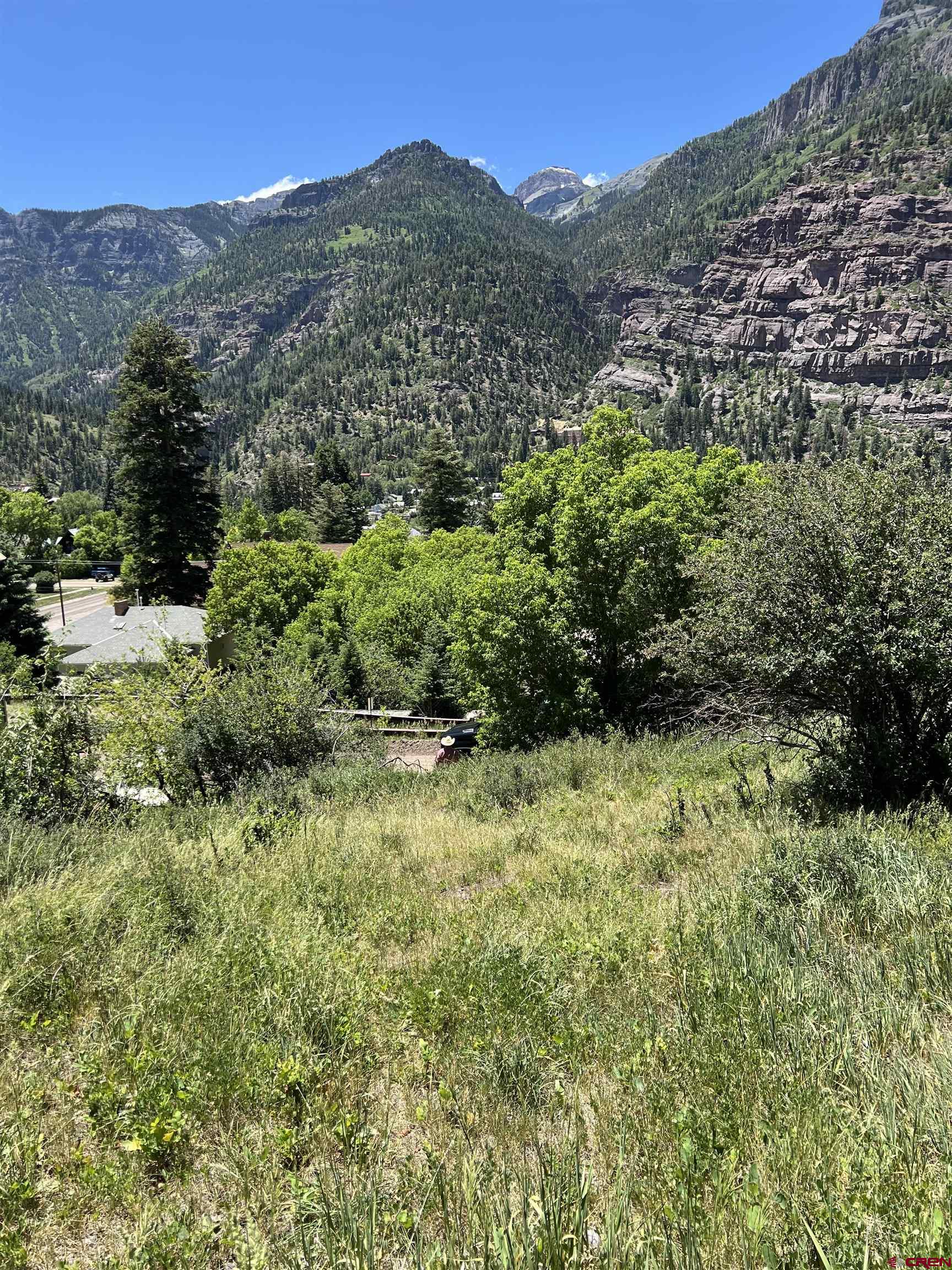 325 2nd Street Ouray, CO 81427 - Photo 22 of 23 a view of a forest with mountains in the background
