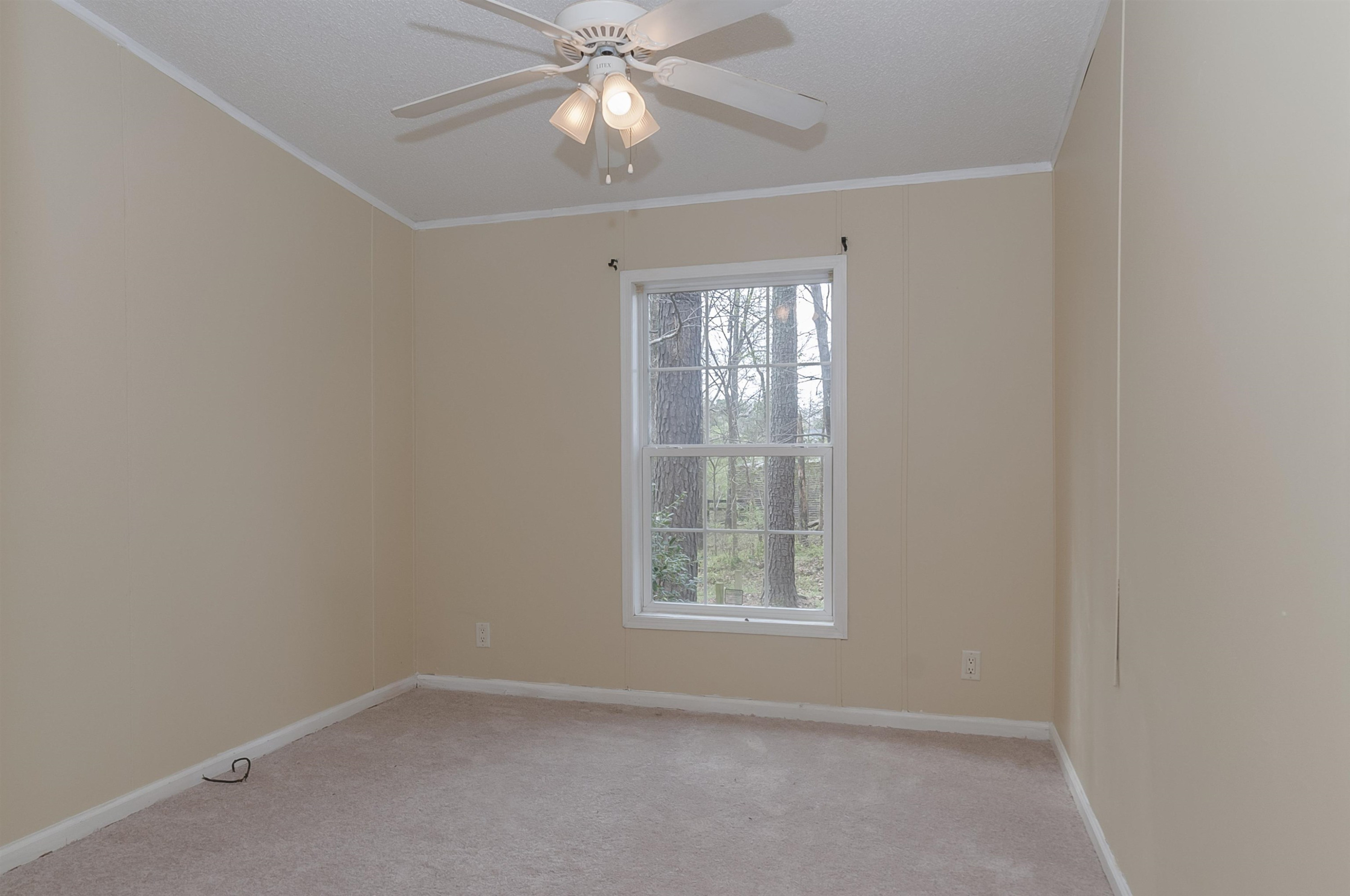 7909 Buffaloe Road Raleigh, NC 27616 - Photo 14 of 23 Photo 14