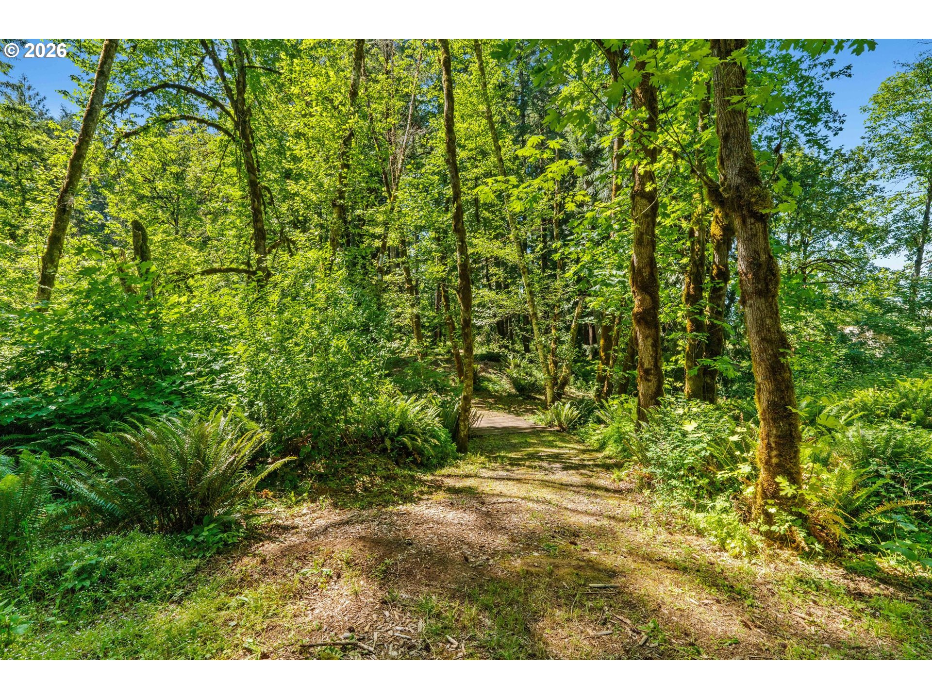 81482 Lost Creek Road Dexter, OR 97431 - Photo 12 of 48 Acreage