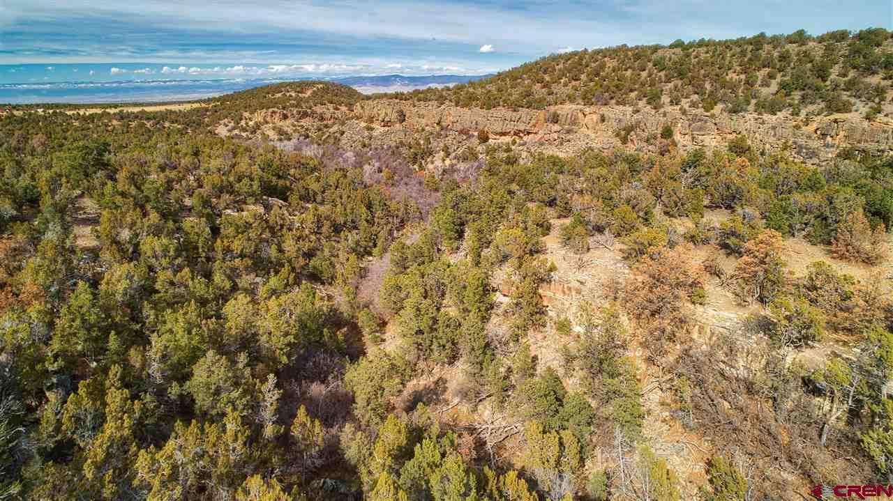 Tbd Sims Mesa Road Montrose, CO 81403 - Photo 6 of 14 Gallery Image 6