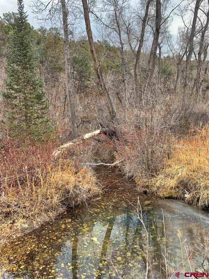 Tbd Sims Mesa Road Montrose, CO 81403 - Photo 8 of 14 Gallery Image 8