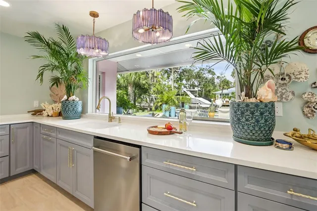 a kitchen with a potted plant on the counter