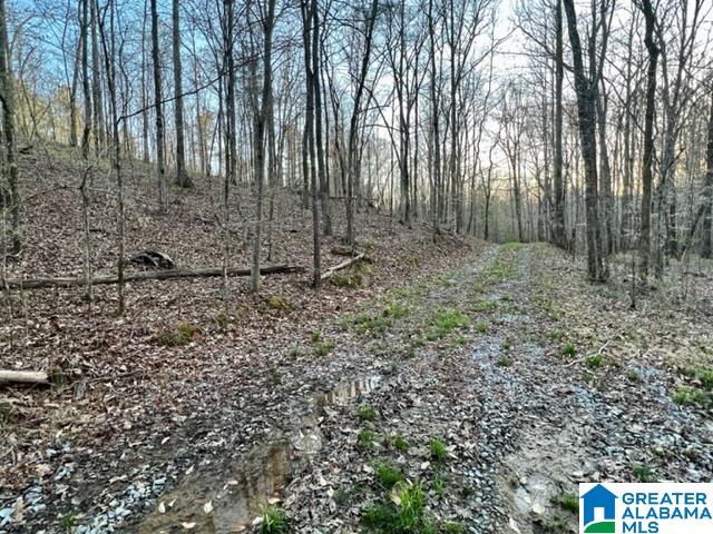 1837 Westover Road Sterrett, AL 35147 - Photo 6 of 14