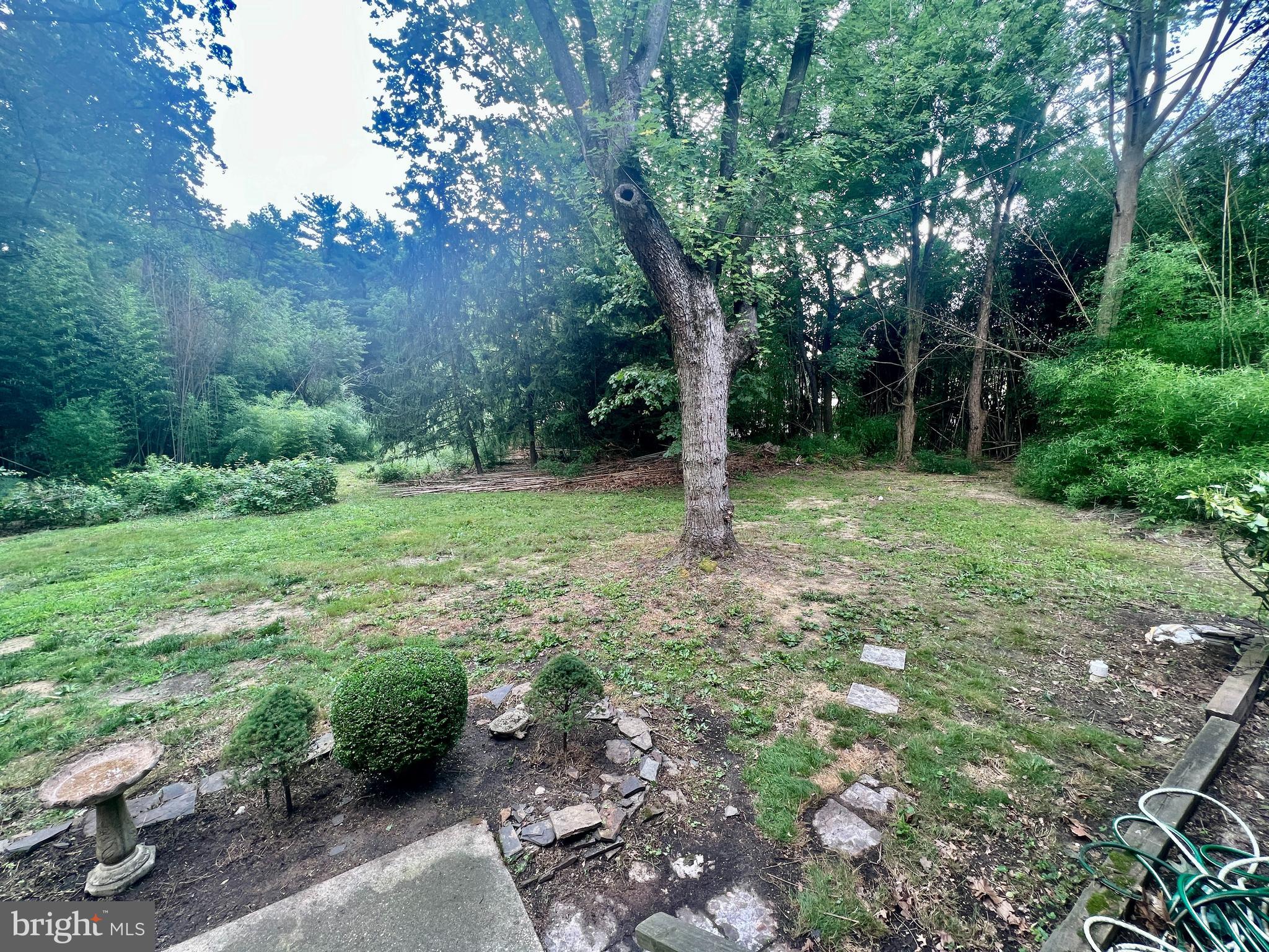 401 Bethel Mill Road, Unit A Pitman, NJ 08071 - Photo 18 of 18 a backyard of a house with lots of plants and trees