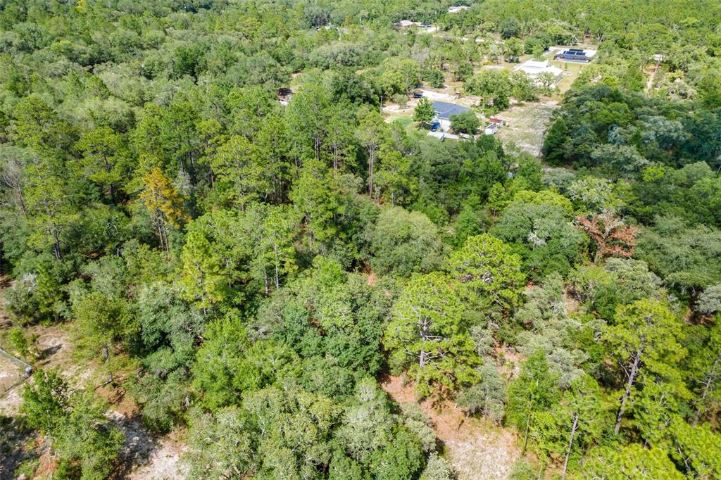 Southwest Shasta Court Dunnellon, FL 34431 - Photo 7 of 9
