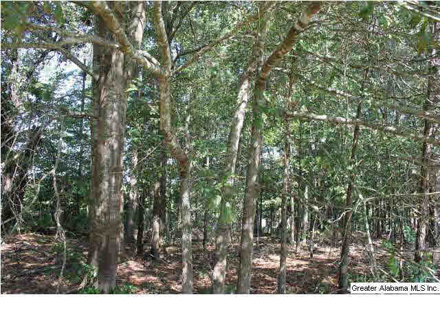 619 County Road, Unit 59 5AC Woodland, AL 36280 - Photo 2 of 13
