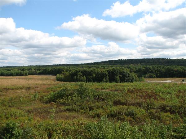 11 C Trail Ridge Way, Unit 35 Harvard, MA 01451 - Photo 27 of 30 a view of an outdoor space and a yard
