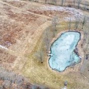 12640 1/2 Calhoun Road Jerome, MI 49249 - Photo 9 of 24 Stocked pond