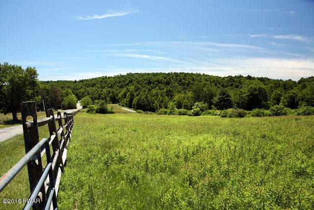 0 Jaketown Road Livingston Manor, NY 12758 - Photo 3 of 16
