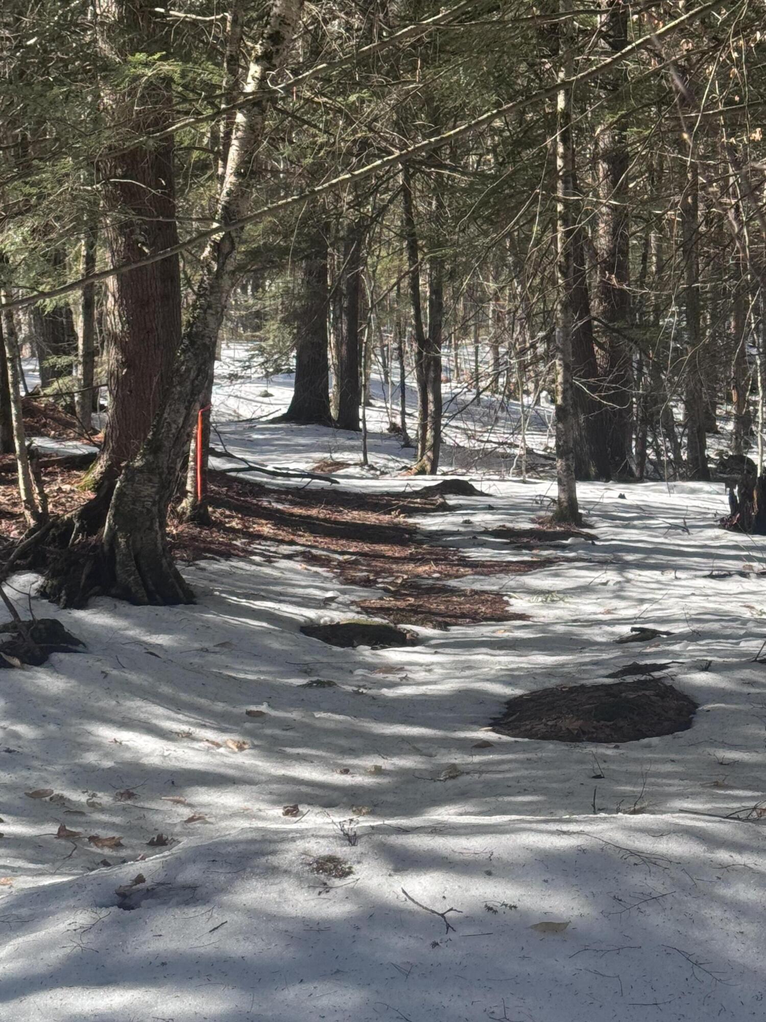 Lot #10 Goose Pond Road Windham, ME 04062 - Photo 1 of 10 IMG_9500