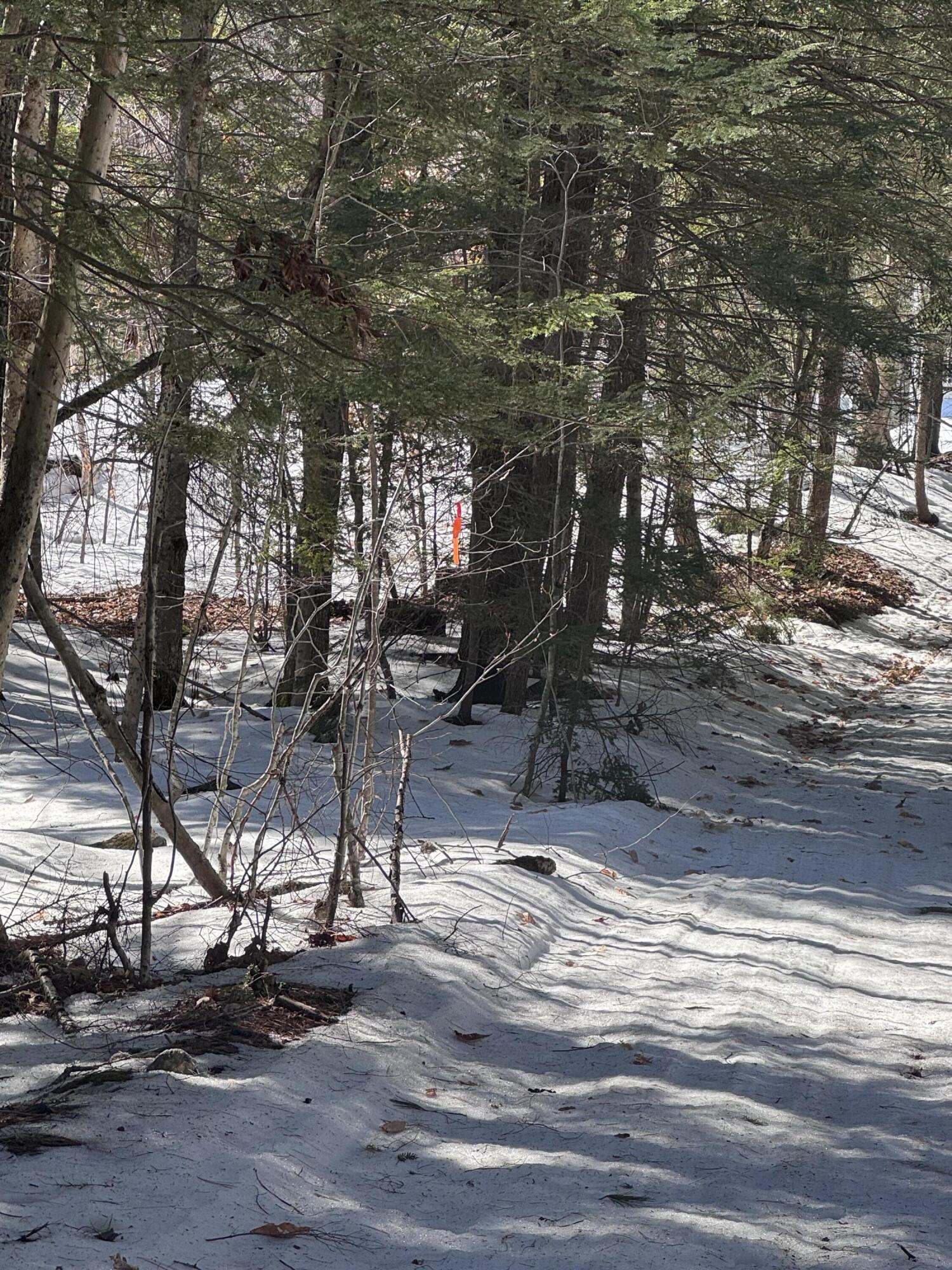 Lot #10 Goose Pond Road Windham, ME 04062 - Photo 2 of 10 IMG_9497