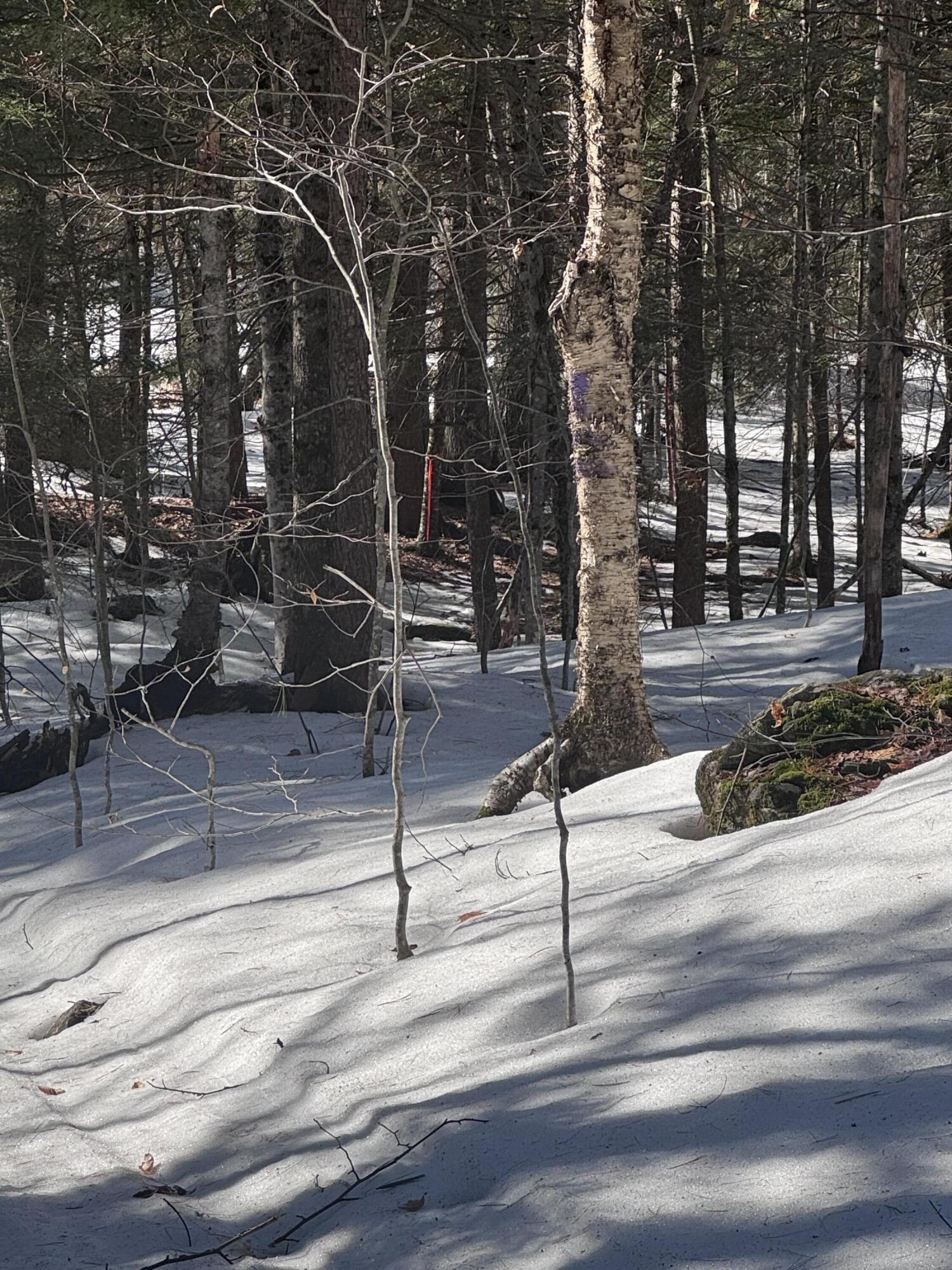 Lot #10 Goose Pond Road Windham, ME 04062 - Photo 3 of 10 IMG_9498