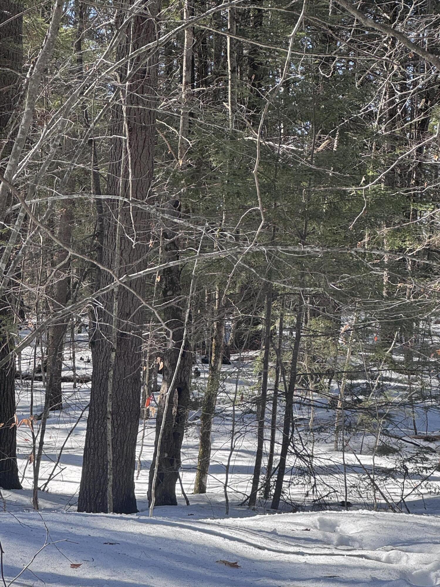 Lot #10 Goose Pond Road Windham, ME 04062 - Photo 4 of 10 IMG_9503