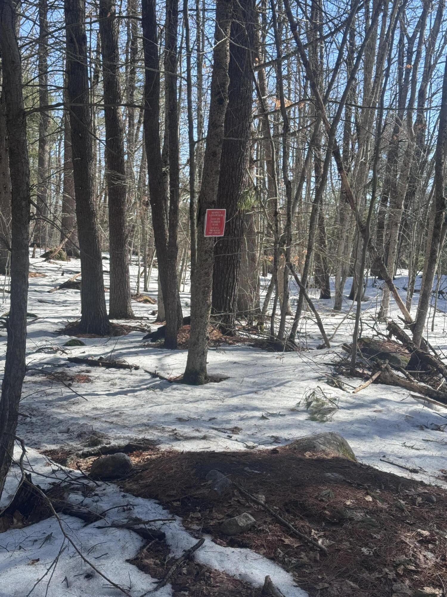 Lot #10 Goose Pond Road Windham, ME 04062 - Photo 10 of 10 IMG_9511