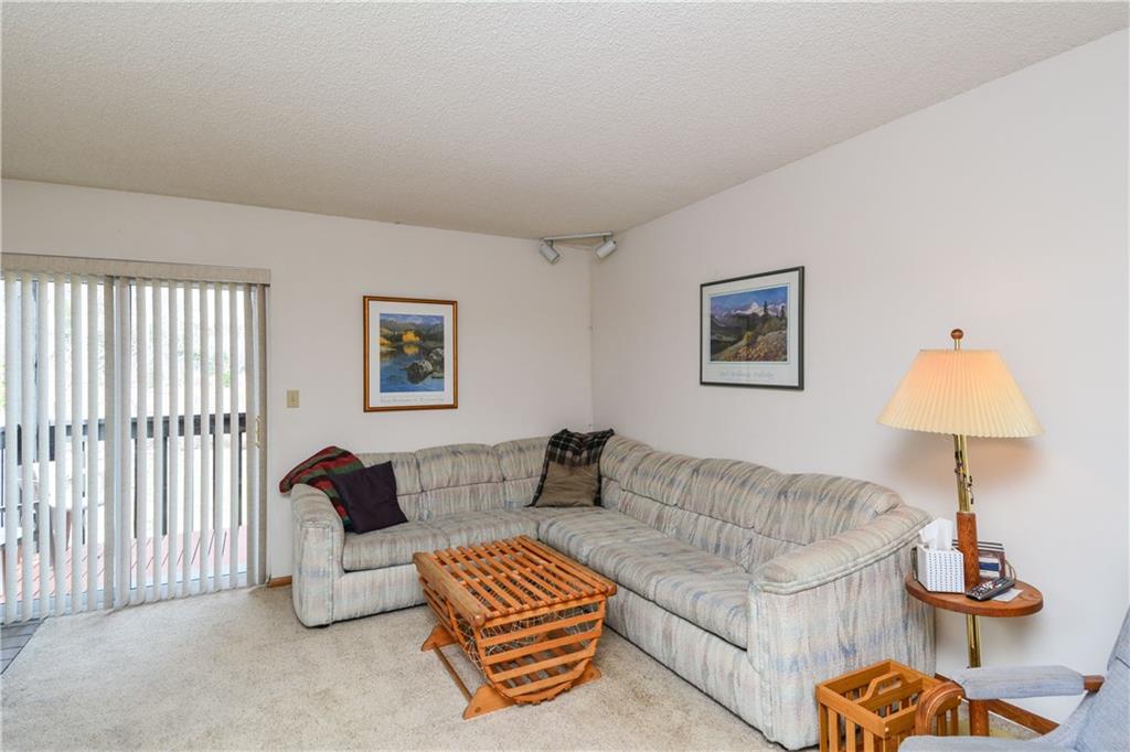 500 Bills Ranch Road, Unit 271 Frisco, CO 80443 - Photo 4 of 22 a living room with furniture a lamp and a window