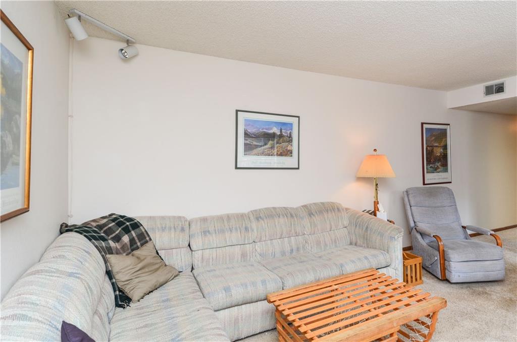 500 Bills Ranch Road, Unit 271 Frisco, CO 80443 - Photo 5 of 22 a bedroom with a bed and a couch