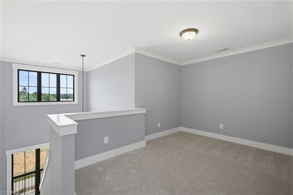 6205 Phillippi Road Julian, NC 27283 - Photo 21 of 30