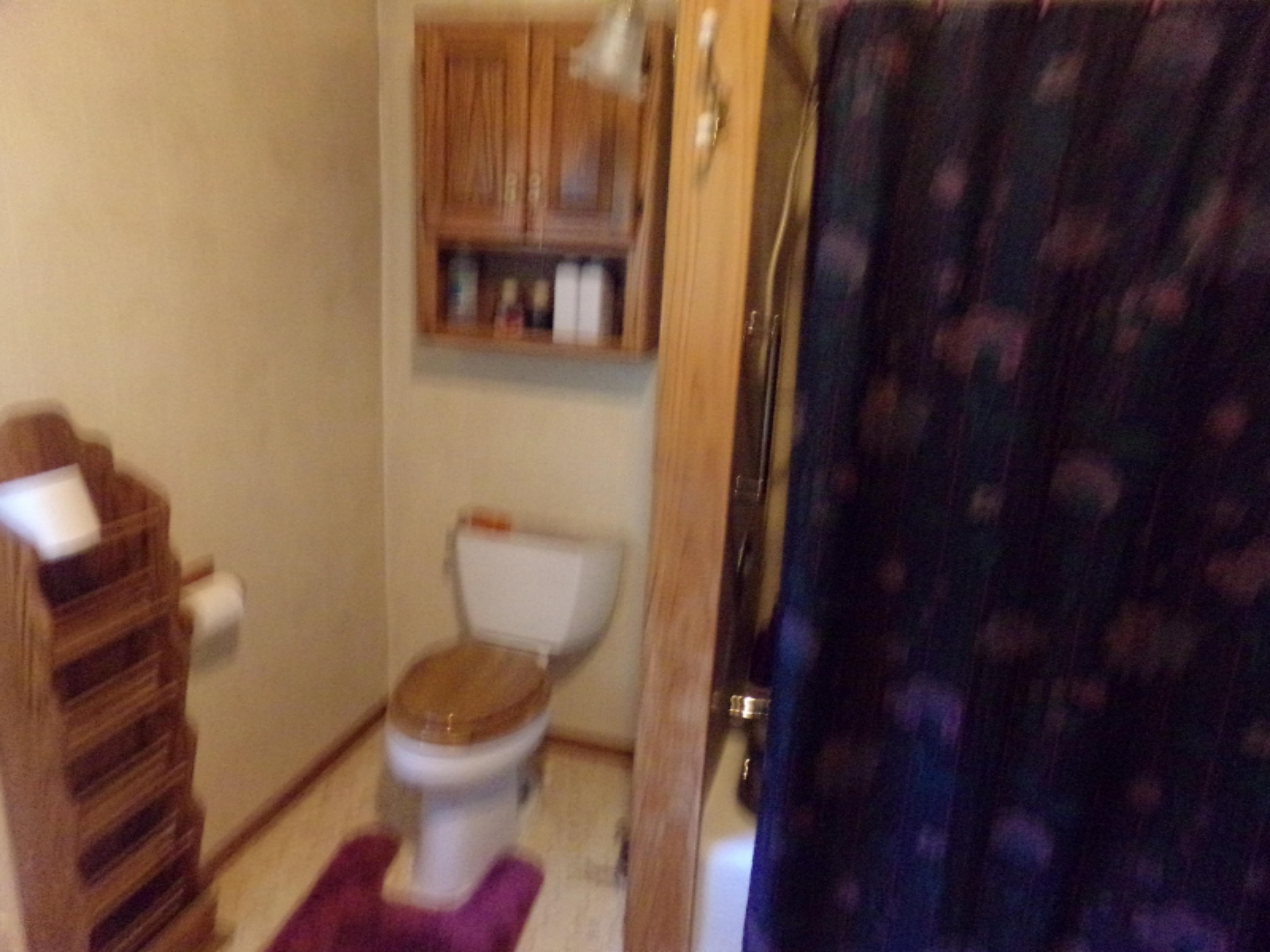 8856 North Granger Road Irons, MI 49644 - Photo 16 of 24 100_1294
