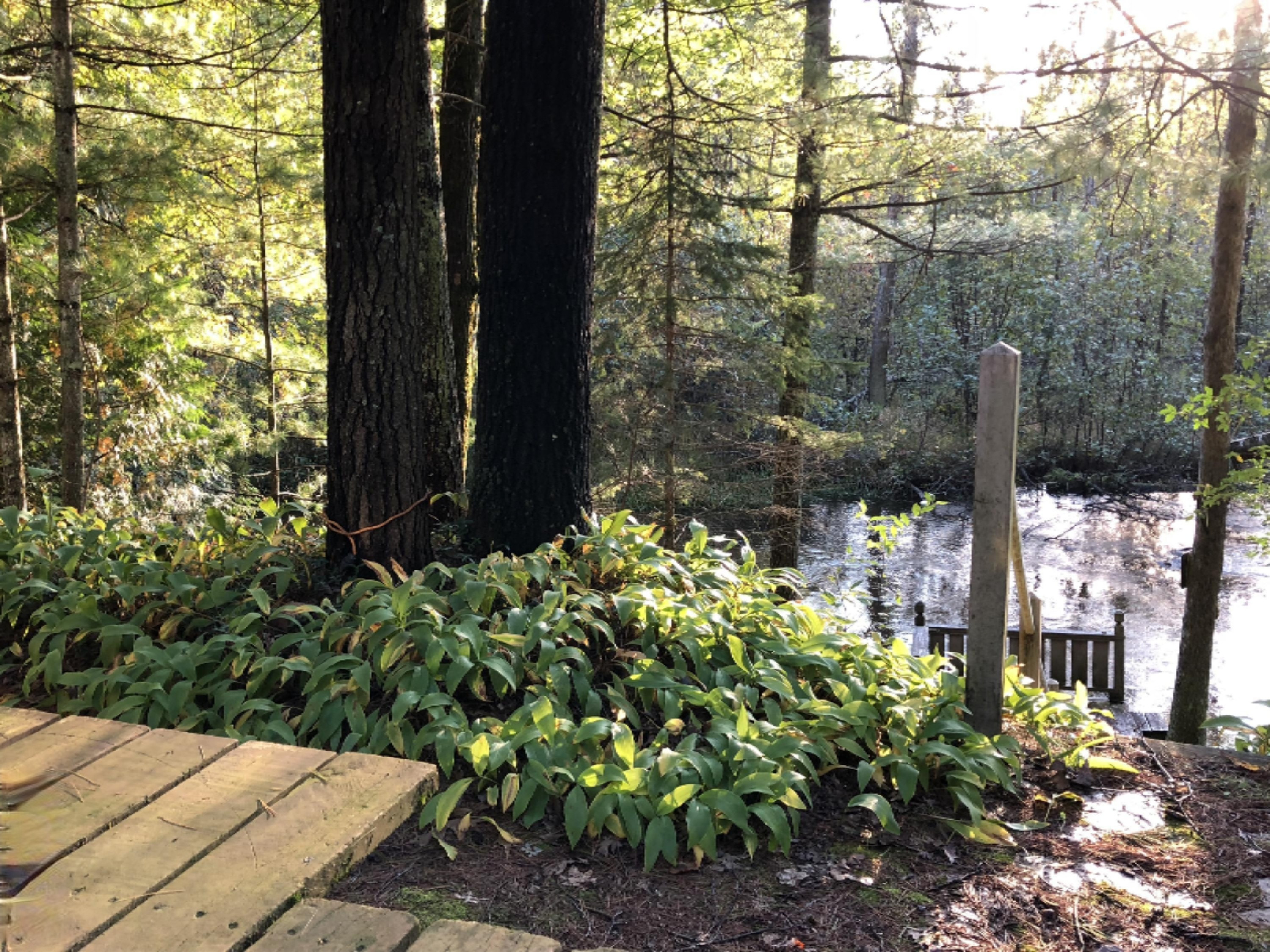8856 North Granger Road Irons, MI 49644 - Photo 8 of 24 Enjoyable deck with views