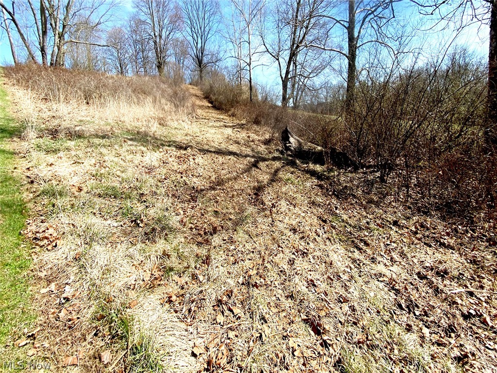 0 Township Road Coshocton, OH 43812 - Photo 2 of 24