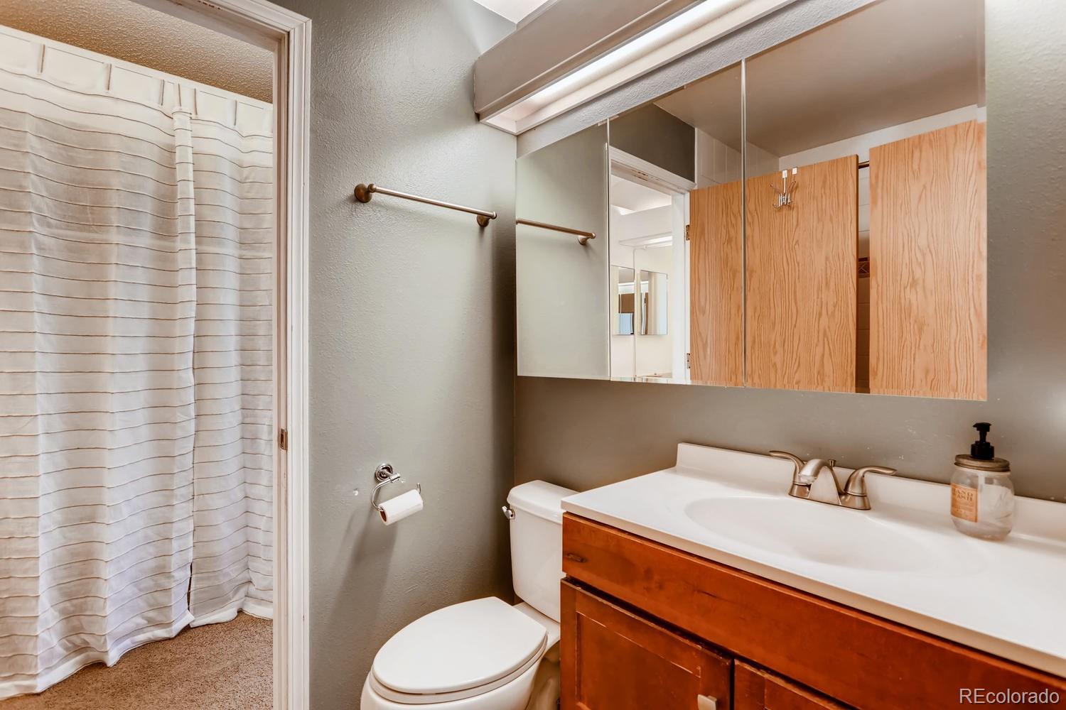 9222 Camelback Street Highlands Ranch, CO 80126 - Photo 15 of 25 Gallery Image 15