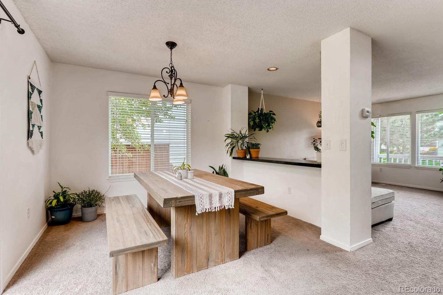 9222 Camelback Street Highlands Ranch, CO 80126 - Photo 8 of 25 Gallery Image 8