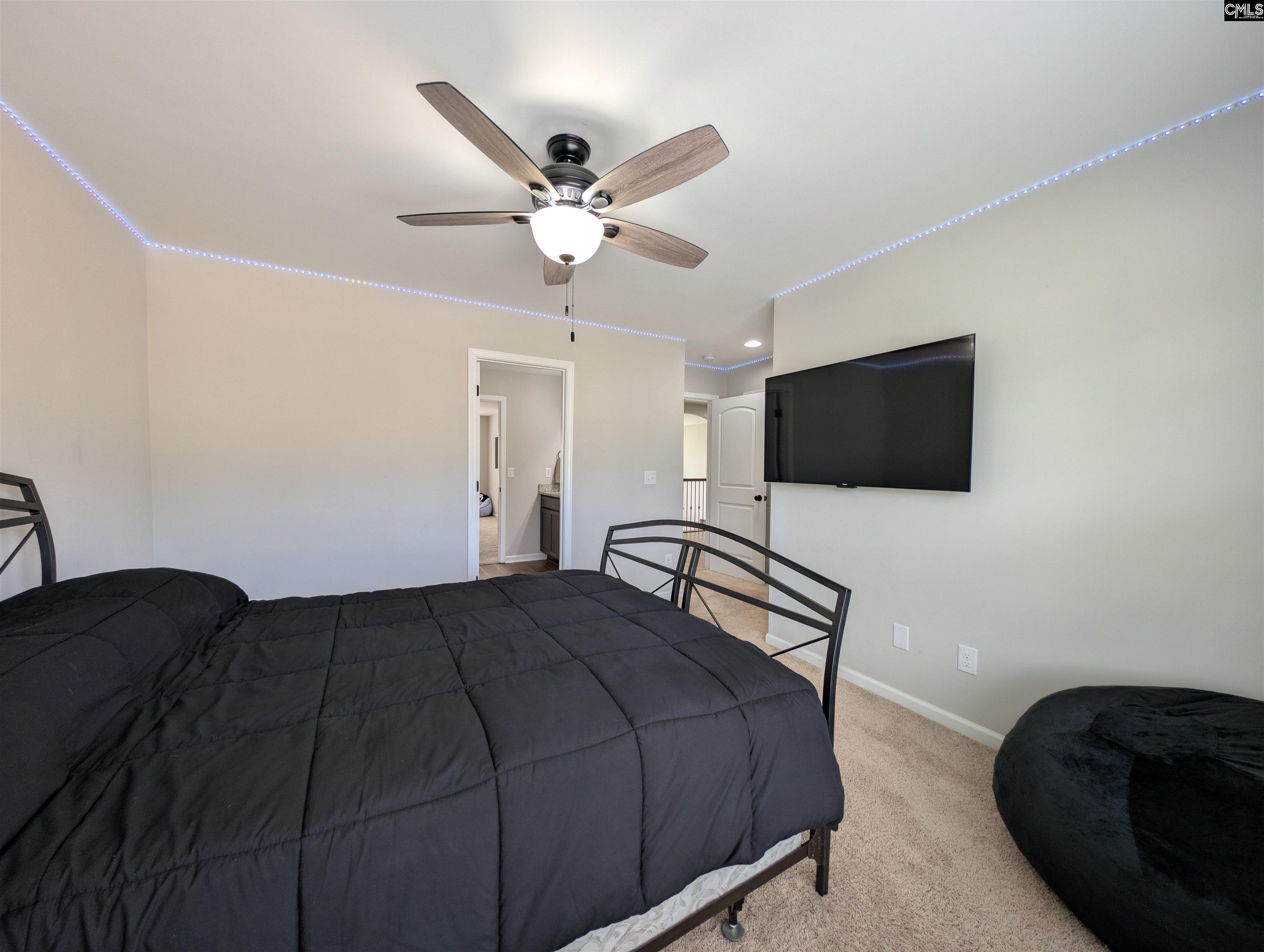105 Tall Pines Road Chapin, SC 29036 - Photo 56 of 79