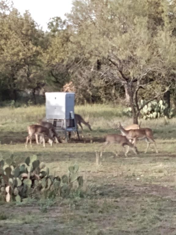 a view of a yard with wooden fence